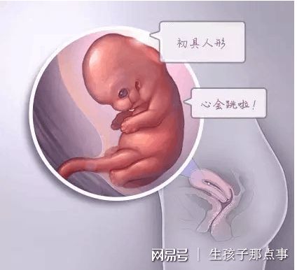 实验室环境